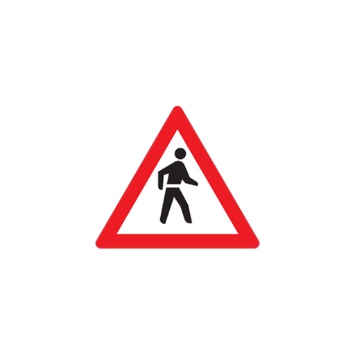W307 — Pedestrians