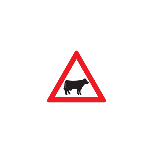 W310 — Domestic Animals (Cattle)