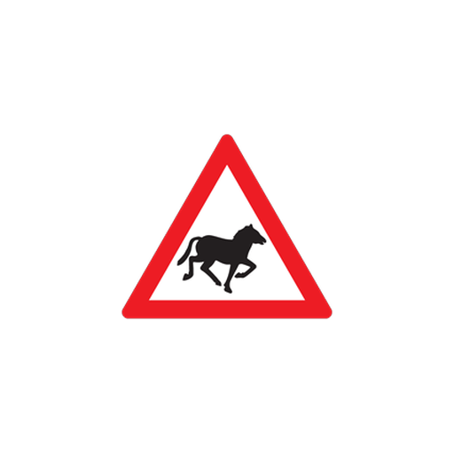 W311 — Domestic animals (Horses)