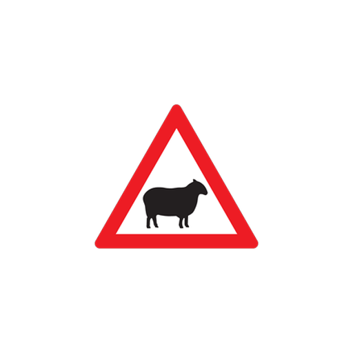 W312 — Domestic animals (Sheep)